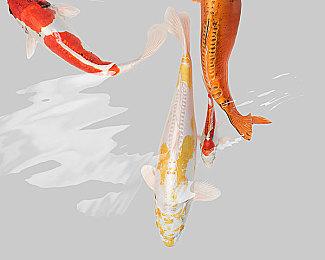 全手绘类银河城《魔骨》今日全平台发售！